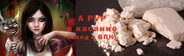 мяу мяу мука Вязьма