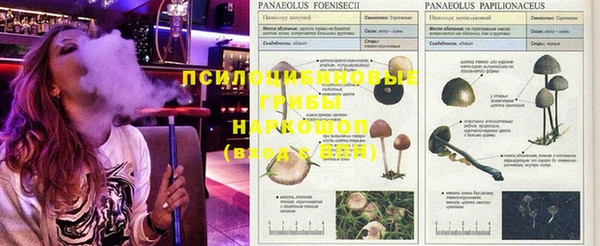 герыч Вязники