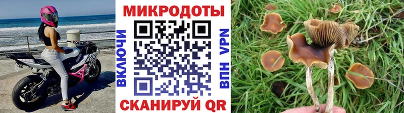 Галлюциногенные грибы Cubensis  Купить где  Реутов 